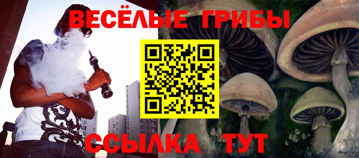Галлюциногенные грибы мицелий  Вход с VPN  Гатчина 