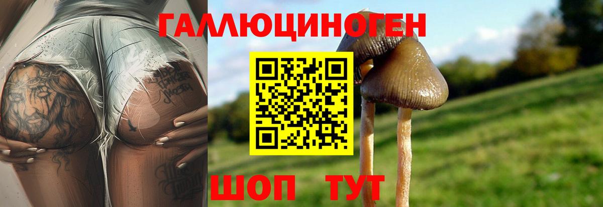 Галлюциногенные грибы мицелий Гатчина