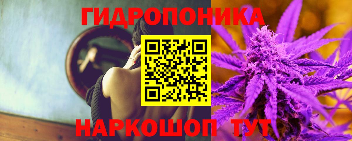 МАРИХУАНА ГИДРОПОН  МАРИХУАНА планчик  Вход с VPN  Гатчина 
